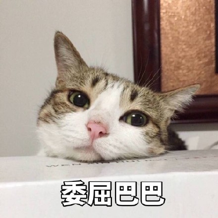 屈光矫视