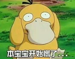 玻璃体视网膜