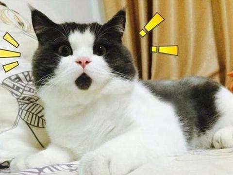 青光眼