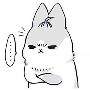 眼表眼角膜