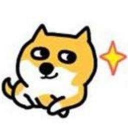 屈光矫视