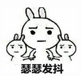 眼表眼角膜