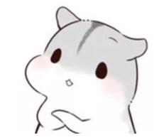 屈光矫视