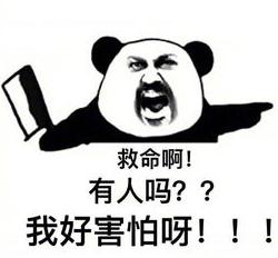玻璃体视网膜