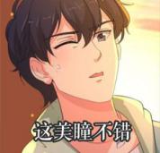 眼表眼角膜