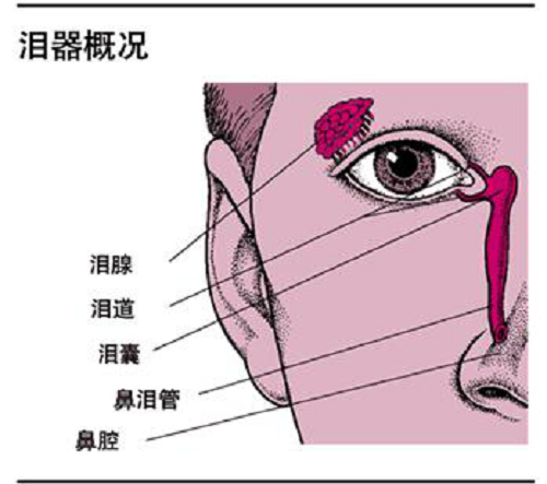 眼眶病