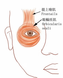 眼眶病