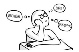 玻璃体视网膜