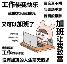 玻璃体视网膜