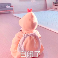 玻璃体视网膜