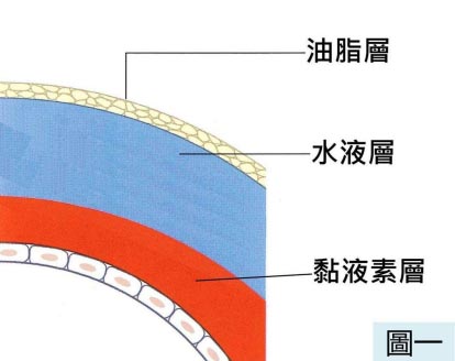 眼表眼角膜