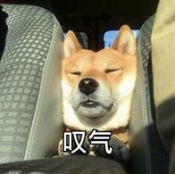 屈光矫视